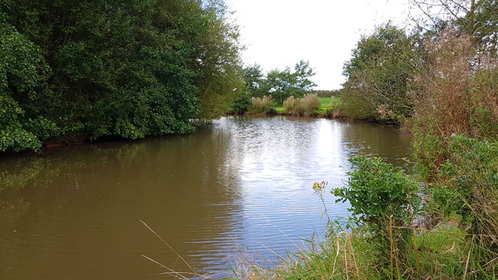 Coarse fishing pool