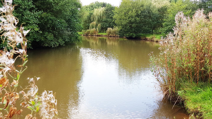 Baden Hall Fishery Doughnut